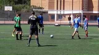 CRONICA DEL PARTIDO. POZUELO DOMINGOS