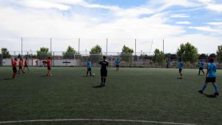 CRONICA DE PARTIDO. ZONA SUR DOMINGO MAÑANA