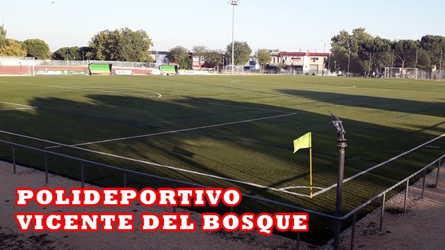 VICENTE DEL BOSQUE