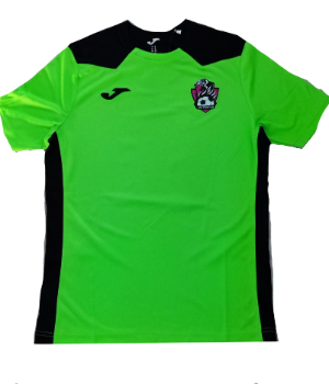 LOS PUMITAS - uniforme 1