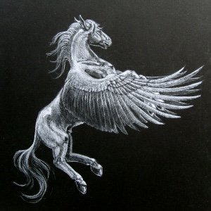 PEGASUS VERALIA