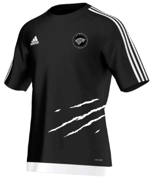 STARKS FC - uniforme 1
