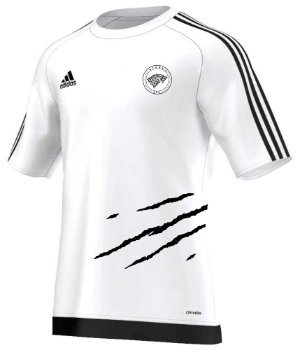 STARKS FC - uniforme 2