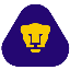 EL PUMAS