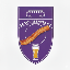 LA TORREZNETA FC