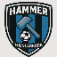 HAMMER