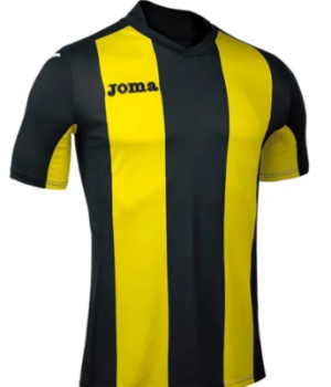PICAFLORES - uniforme 1