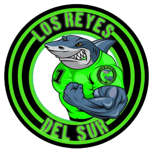 REYES DEL SUR