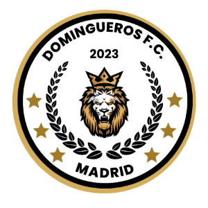 BORRACHINO 26 FC