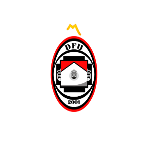 DEFU TEAM