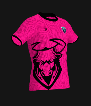 LEGABULLS - uniforme 1