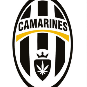 CAMARINES