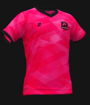 PINK FLAMINGOS - uniforme 1