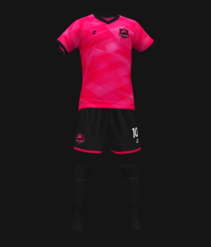 PINK FLAMINGOS - uniforme 2